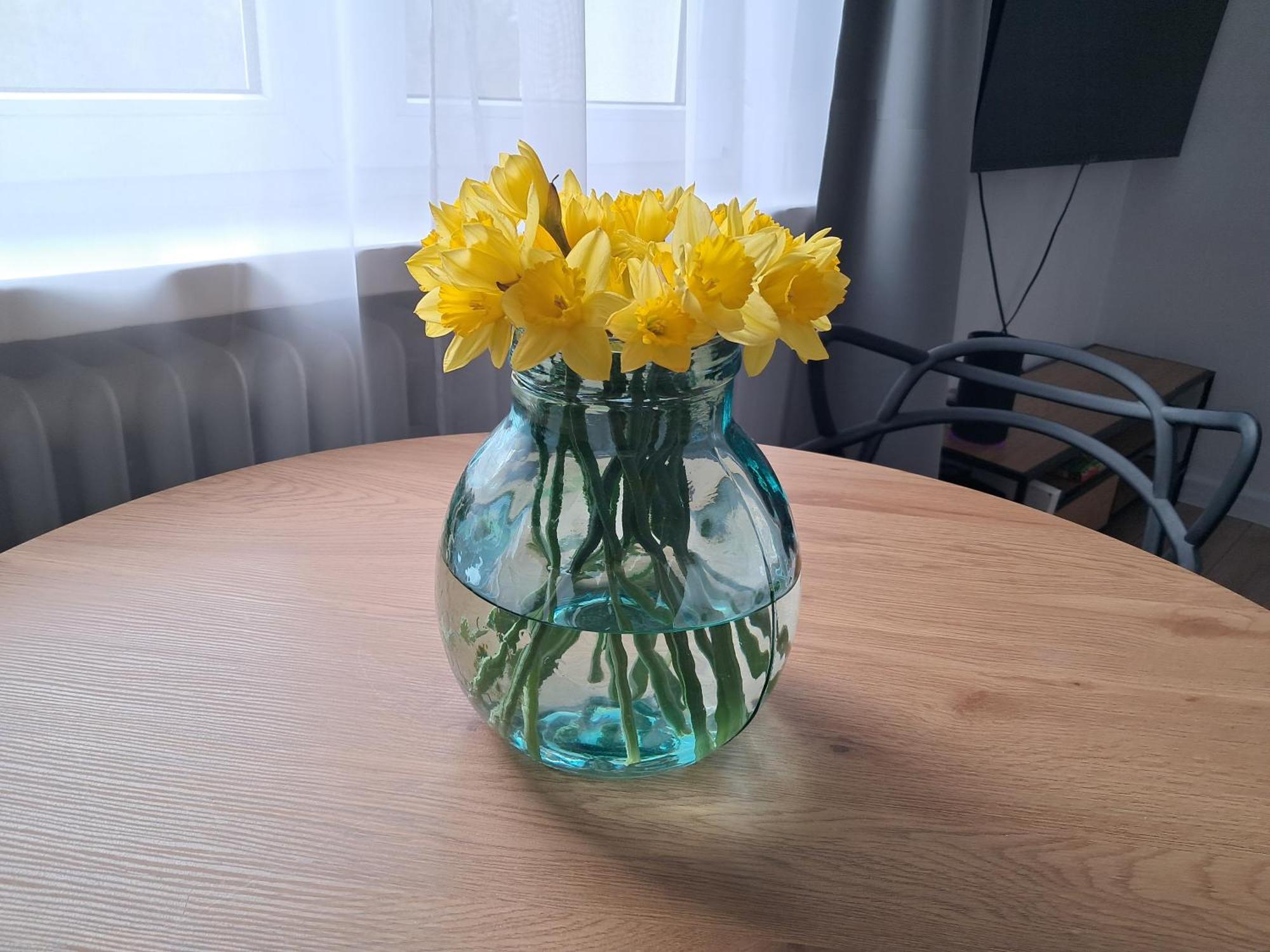 Apartament Aleja 29 Listopada Kraków Zewnętrze zdjęcie